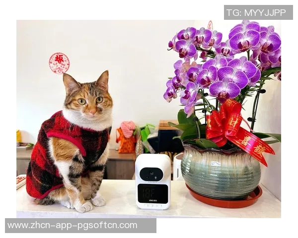 pg电子招财猫大奖视频-揭秘PG电子招财猫大奖视频-pg电子招财猫大奖视频